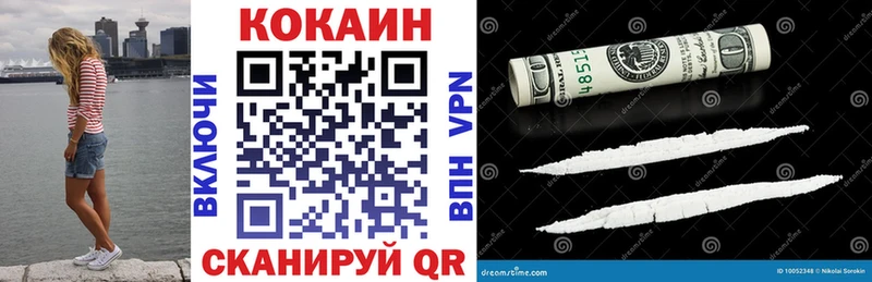 ссылка на мегу как войти  где купить наркоту  Тавда  COCAIN FishScale 
