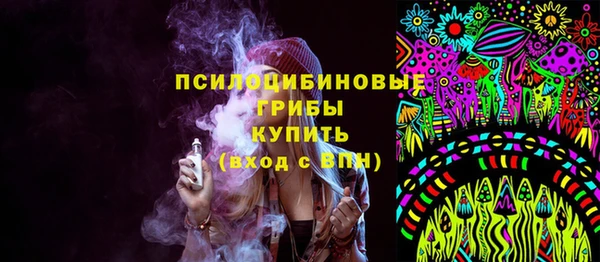 соль ск Нея