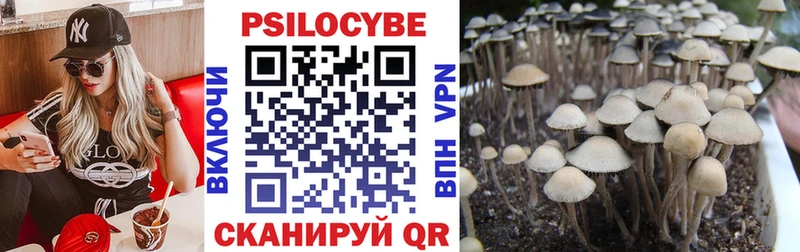 Галлюциногенные грибы прущие грибы  Тавда 